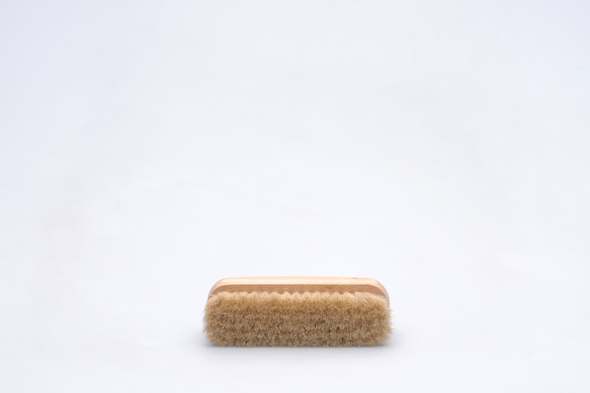 Shoe Brush