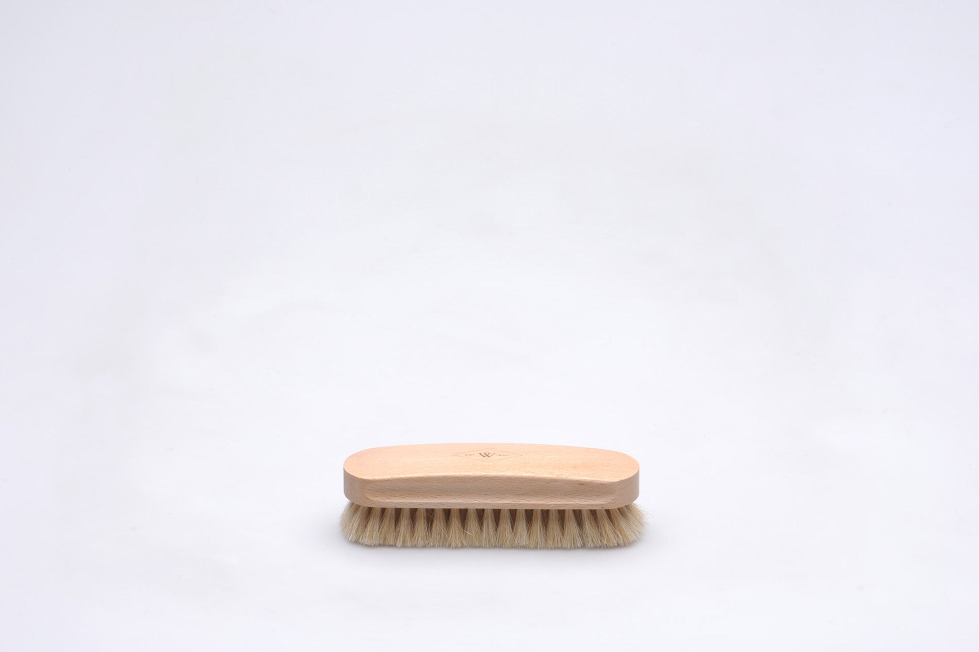 Shoe Brush