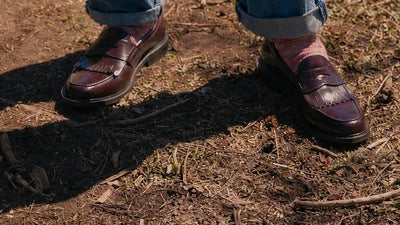 Walk with Wildsmith: Michael Fox